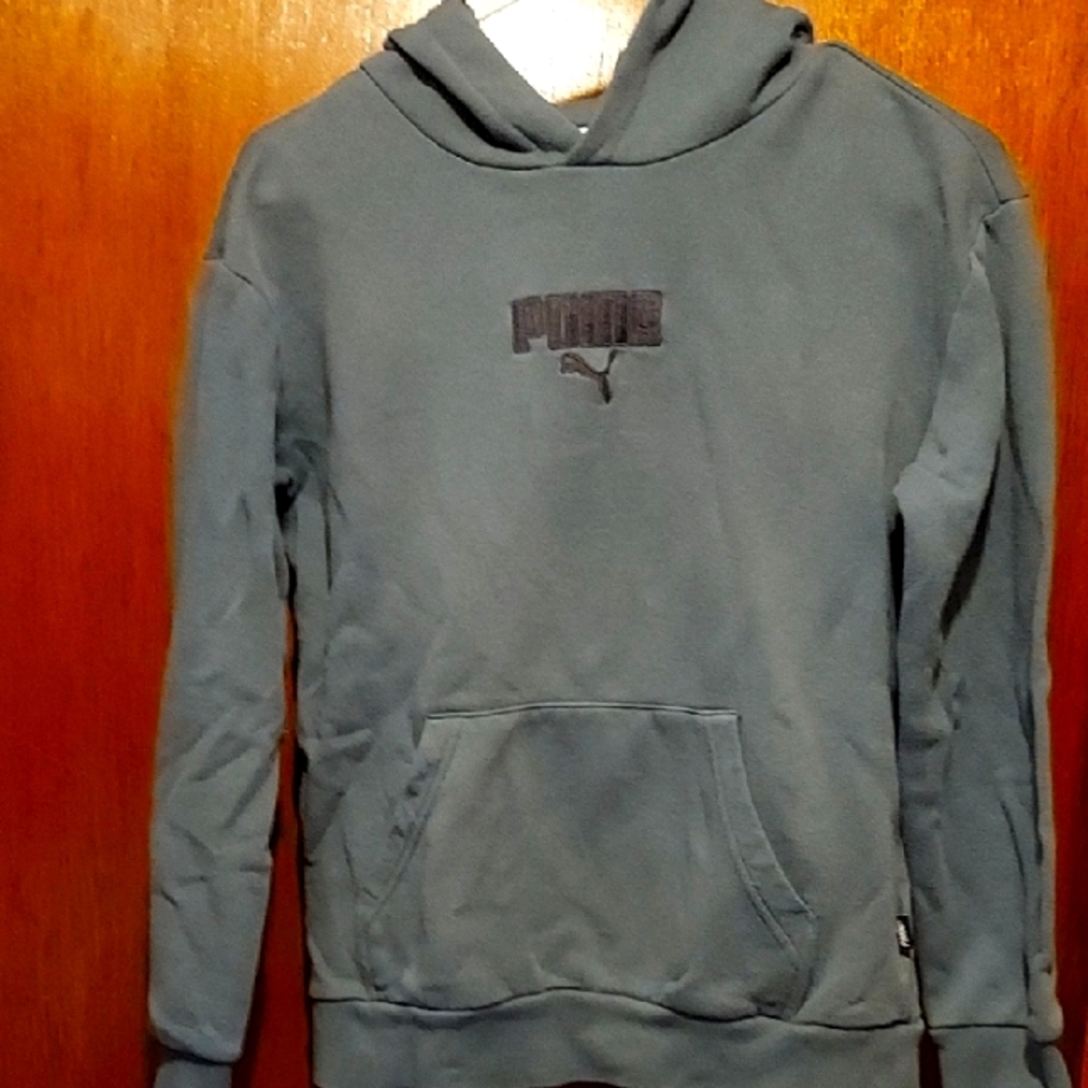 Puma Kids Gray/blue Hoodie